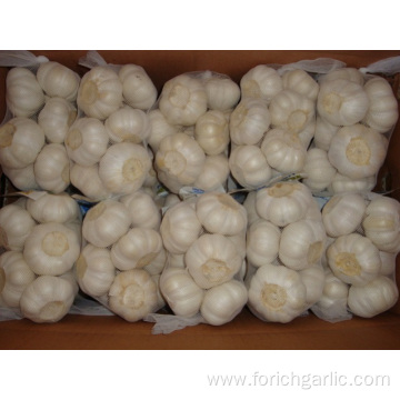 Pure White Garlic Packed In 500g bag